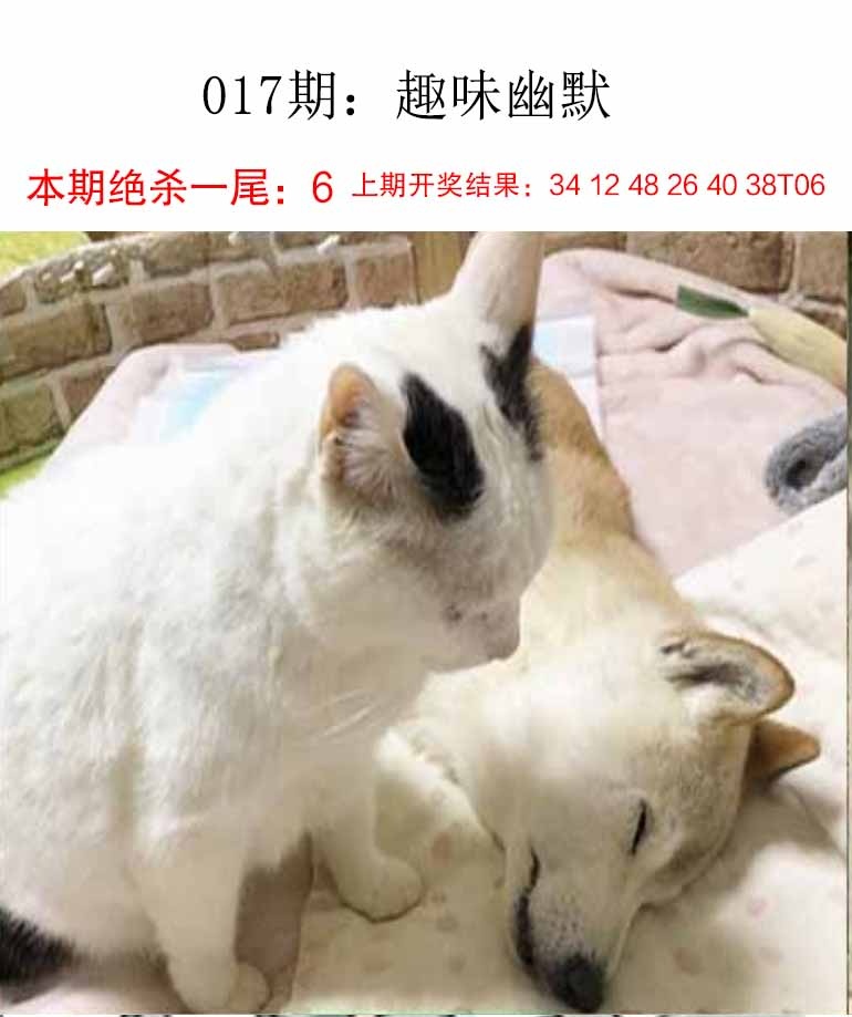 017期趣味幽默[图]