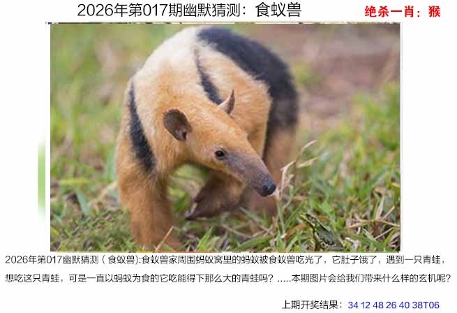 017期幽默猜测[图]