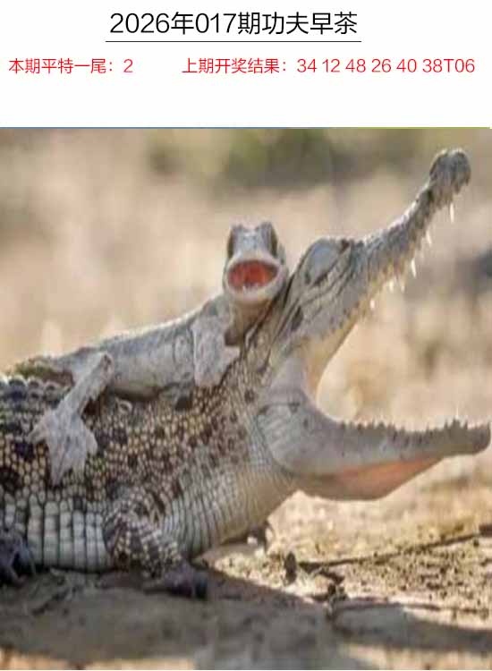 017期功夫早茶[图]