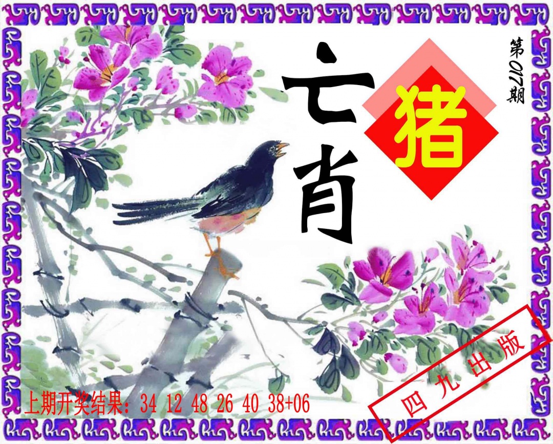 017期神鸟版[图]