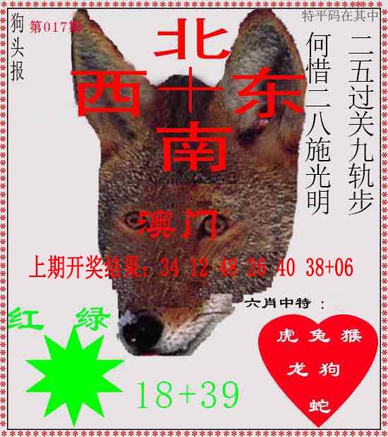 017期狗头报[图]