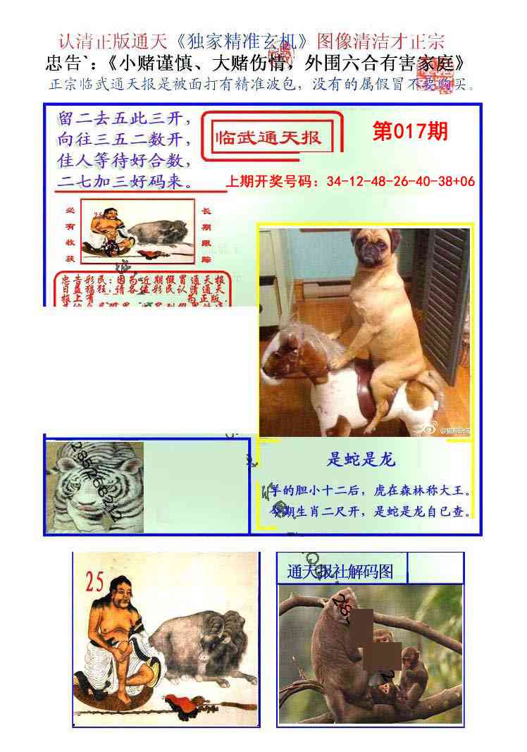 017期临武通天报[图]