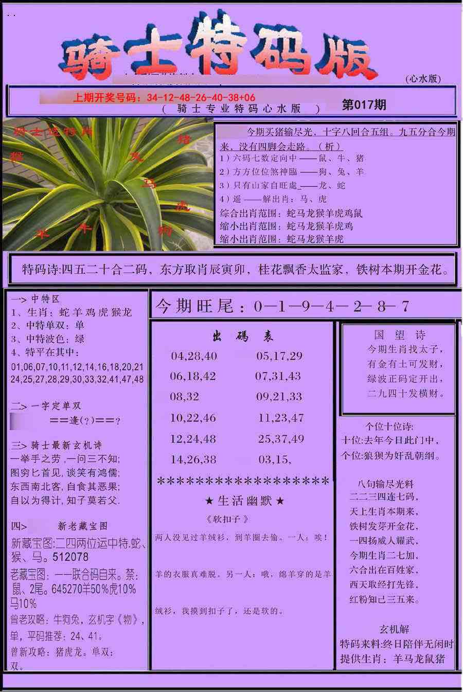 017期骑士特码版[图]