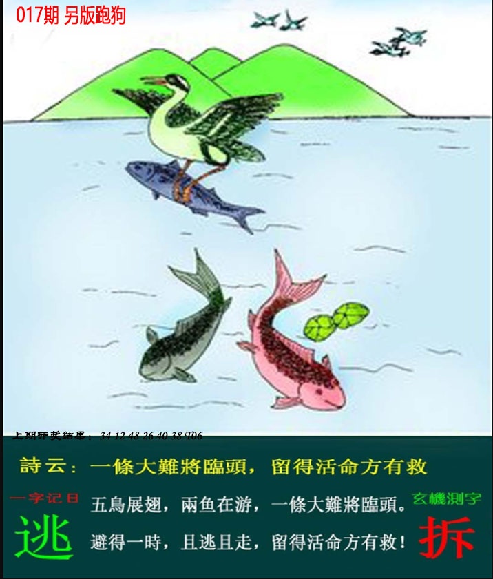 017期澳门跑狗另版[图]
