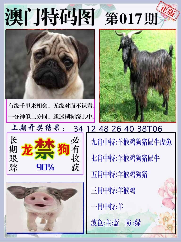 017期特码图[图]