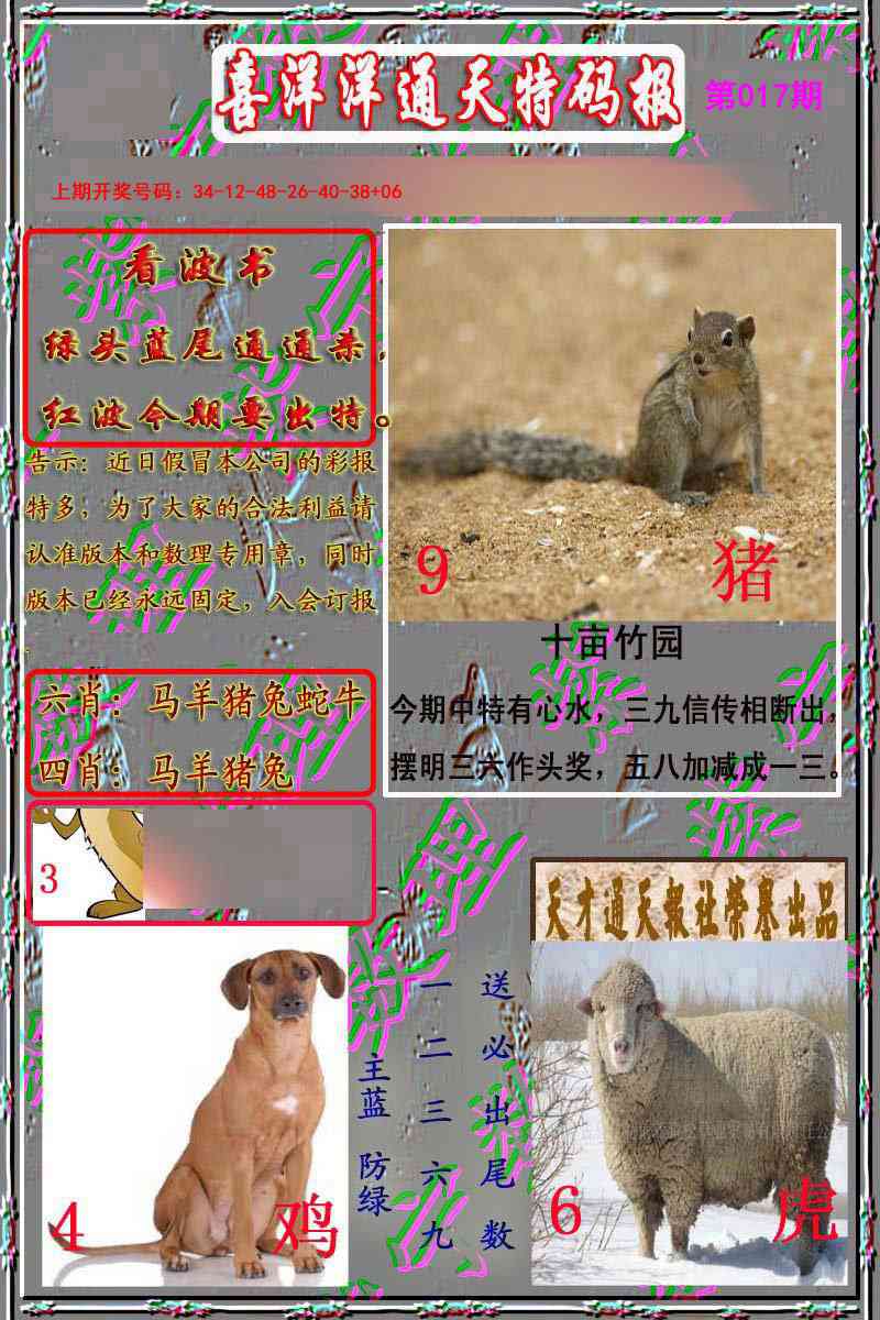 017期洋通报[图]