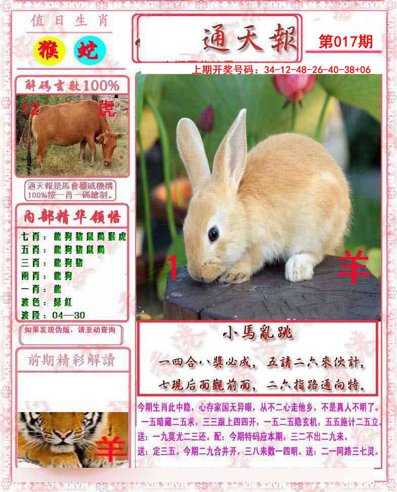 017期马经通天报[图]