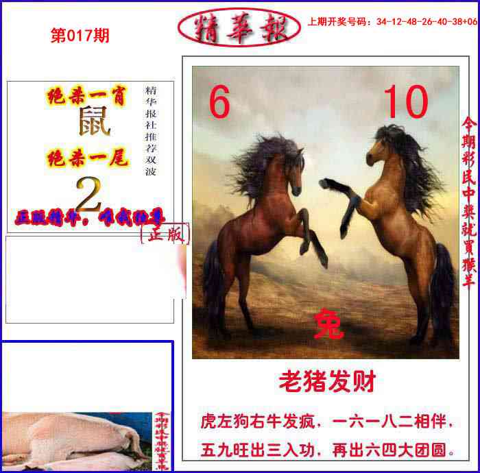 017期新精华报报[图]