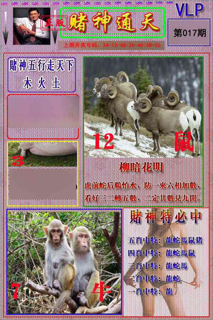 017期赌神通天报[图]