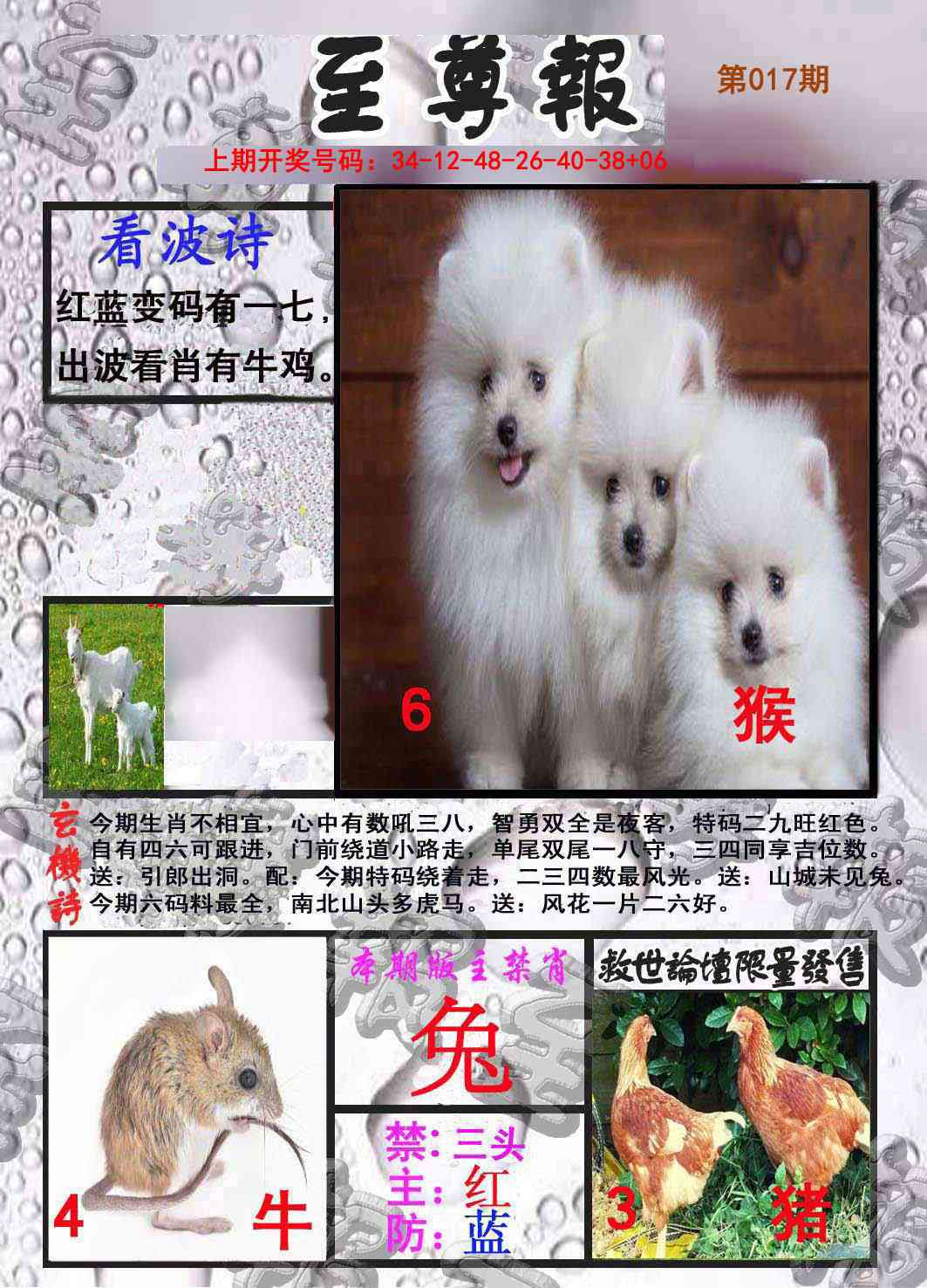 017期至尊报[图]