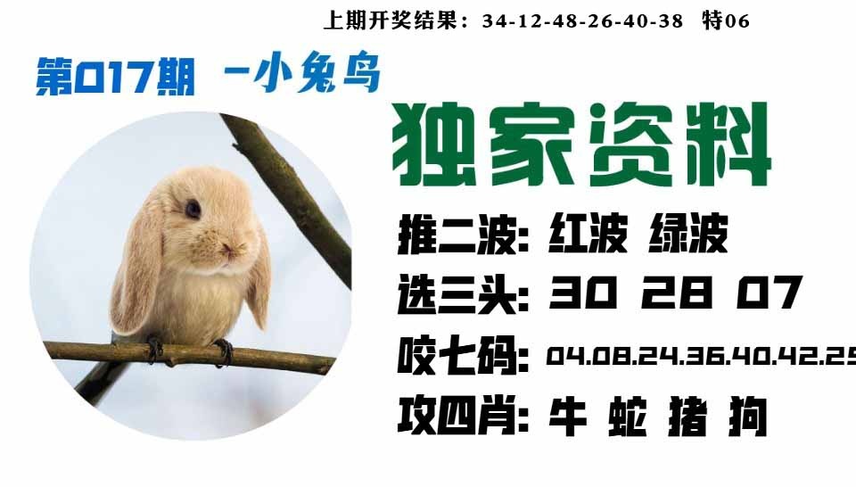 017期小兔鸟[图]